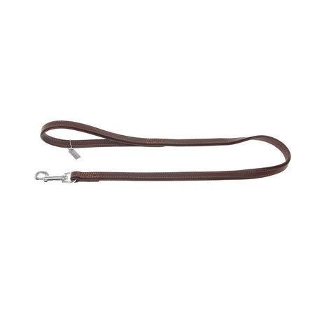 Lederleine Vintage für Hunde