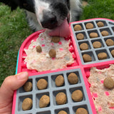 Slomo Kombi-Schleckmatte für Hunde