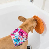 Splash Schlecknapf mit Saugnapf