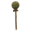 Matatabi Lolli mit Catnip