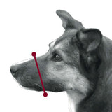 Maulkorb aus Kunststoff für Hunde