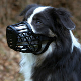 Maulkorb aus Kunststoff für Hunde