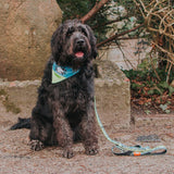 Bandana Black Sheep