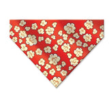 Bandana Popcorn