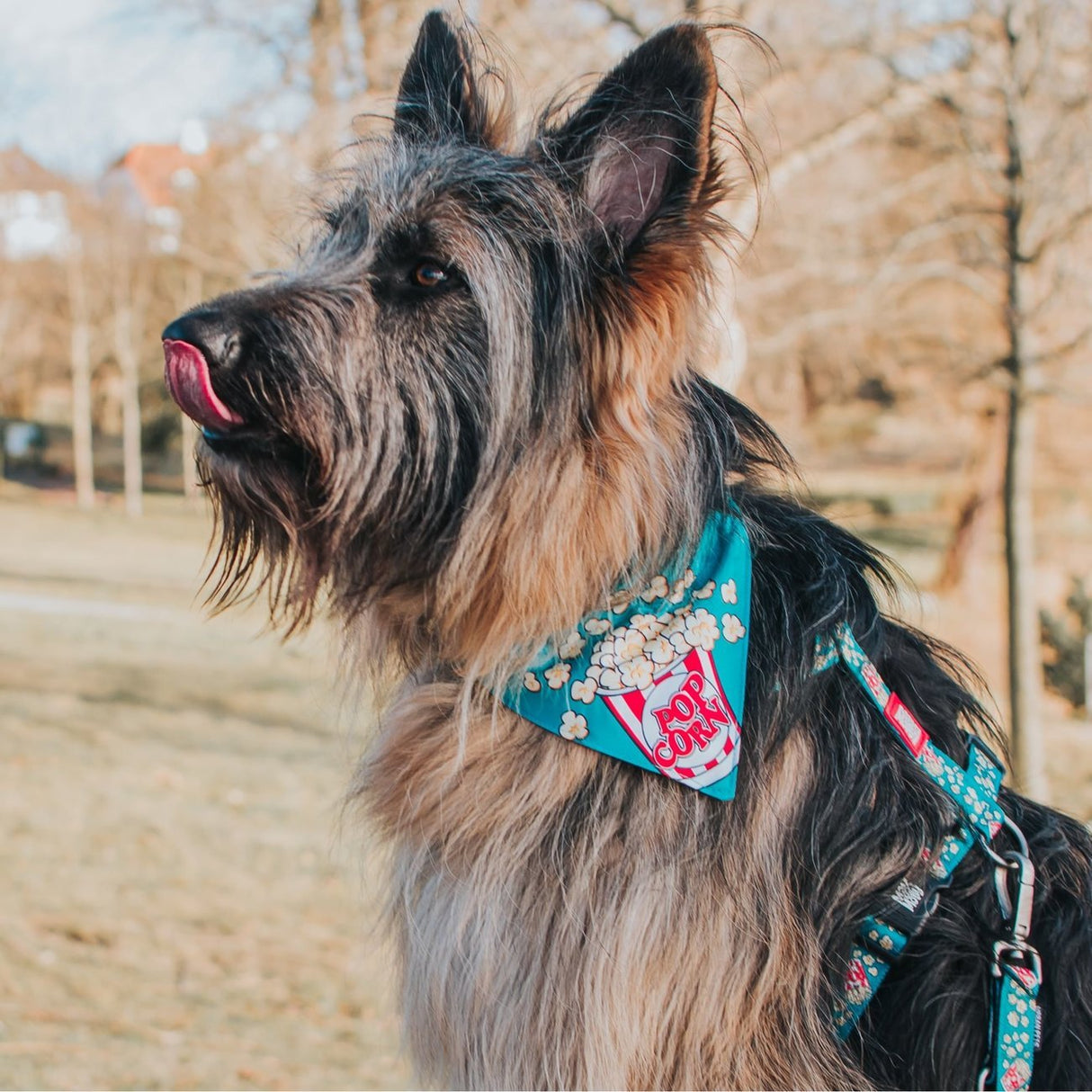 Bandana Popcorn