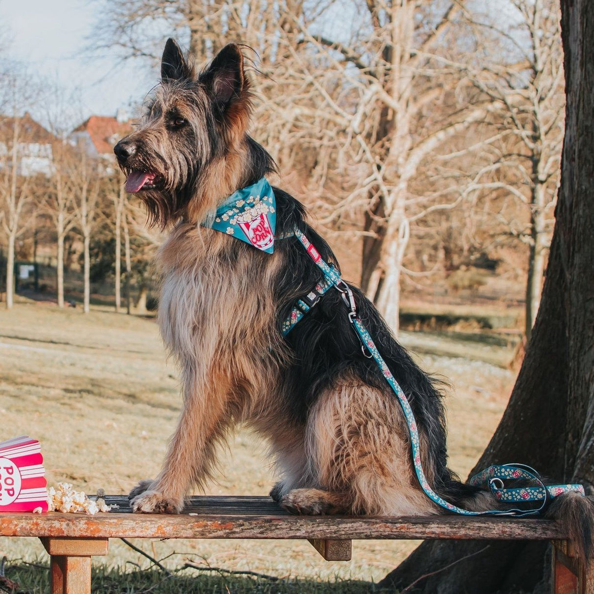 Bandana Popcorn
