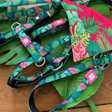 Bandana Tropical