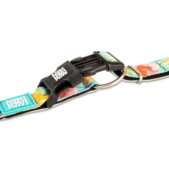 Exotique Hundehalsband mit Smart ID