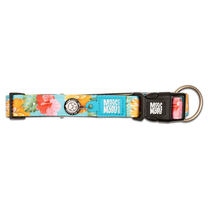 Exotique Hundehalsband mit Smart ID