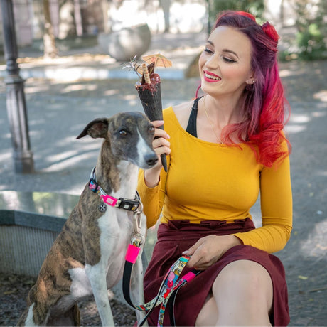 Max & Molly H-Geschirr für Hunde Missy Pop