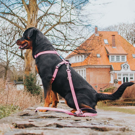 H-Geschirr Retro Pink