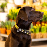 Hundehalsband Monkey Maniac mit Smart ID