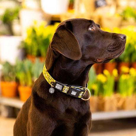 Hundehalsband Monkey Maniac mit Smart ID
