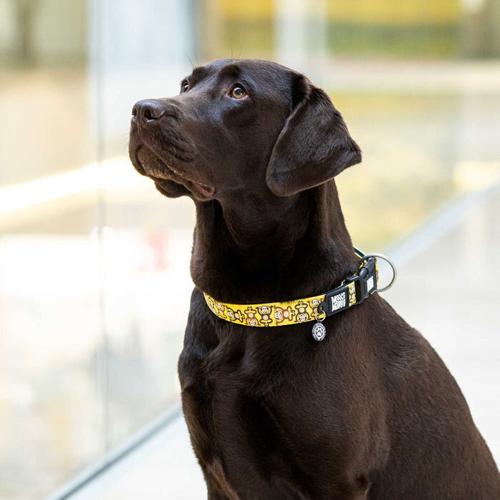 Hundehalsband Monkey Maniac mit Smart ID