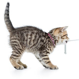 Katzenhalsband Smart ID