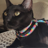 Katzenhalsband Smart ID – one Size - Crayons