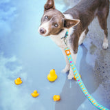 Max & Molly Original Kurzleine Ducklings