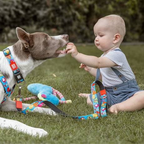 Max & Molly Original Kurzleine Little Monsters