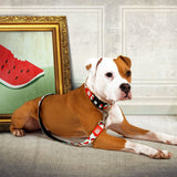 Max & Molly Original Kurzleine Watermelon
