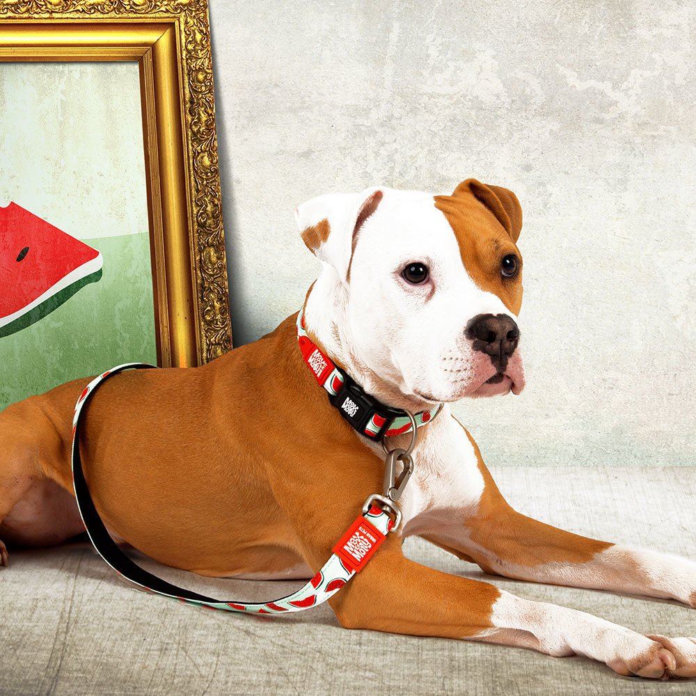 Max & Molly Original Multifunktionsleine Watermelon