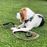 Max & Molly Smart ID Hundehalsband Comic