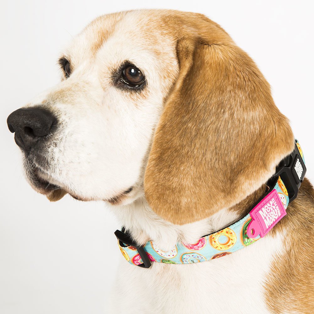 Max & Molly Smart ID Hundehalsband Donuts