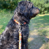 Max & Molly Smart ID Hundehalsband Heroes