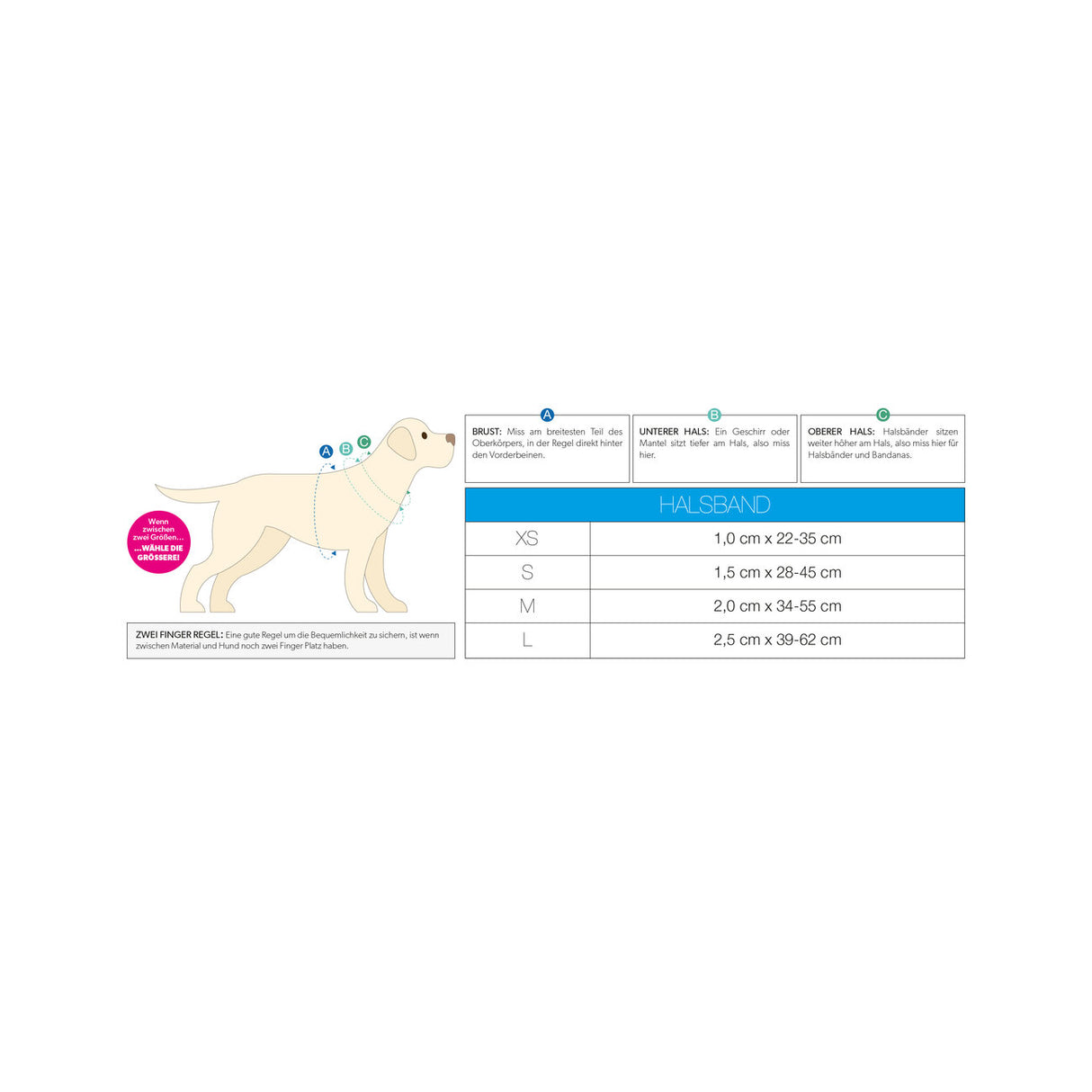 Smart ID Hundehalsband  Matrix 2.0 Turquoise