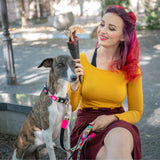 Max & Molly Smart ID Hundehalsband Missy Pop