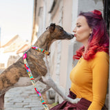 Max & Molly Smart ID Hundehalsband Missy Pop