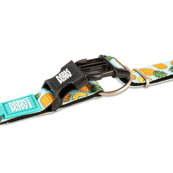 Smart ID Hundehalsband Sweet Pineapple