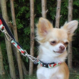 Max & Molly Smart ID Hundehalsband Watermelon