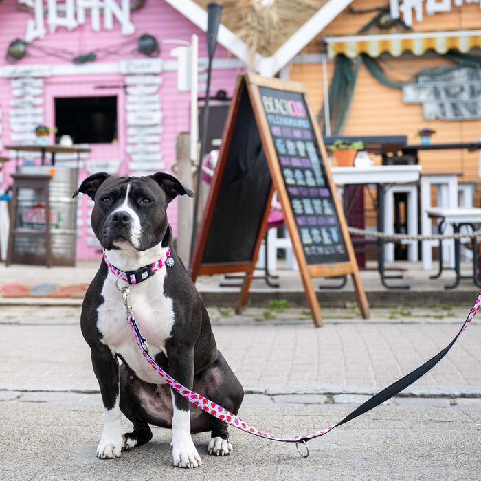 Strawberry Dream Hundehalsband mit Smart ID