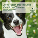 AniForte Nassfutter Pferd Pur