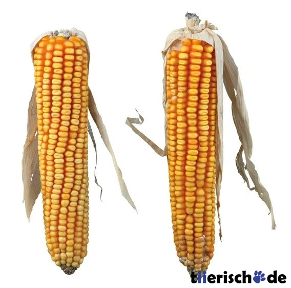 Natur-Snack Maiskolben für Kaninchen, Kleinnager – mit Lieschblatt, 2 St./250 g
