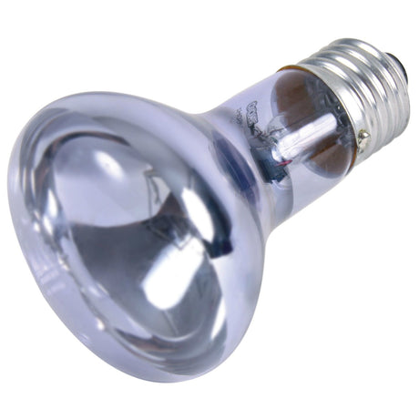 Neodymium Terrarium Wärme Spot