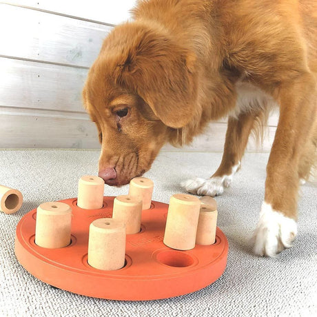 Nina Ottosson Dog Smart Hunde Solitär