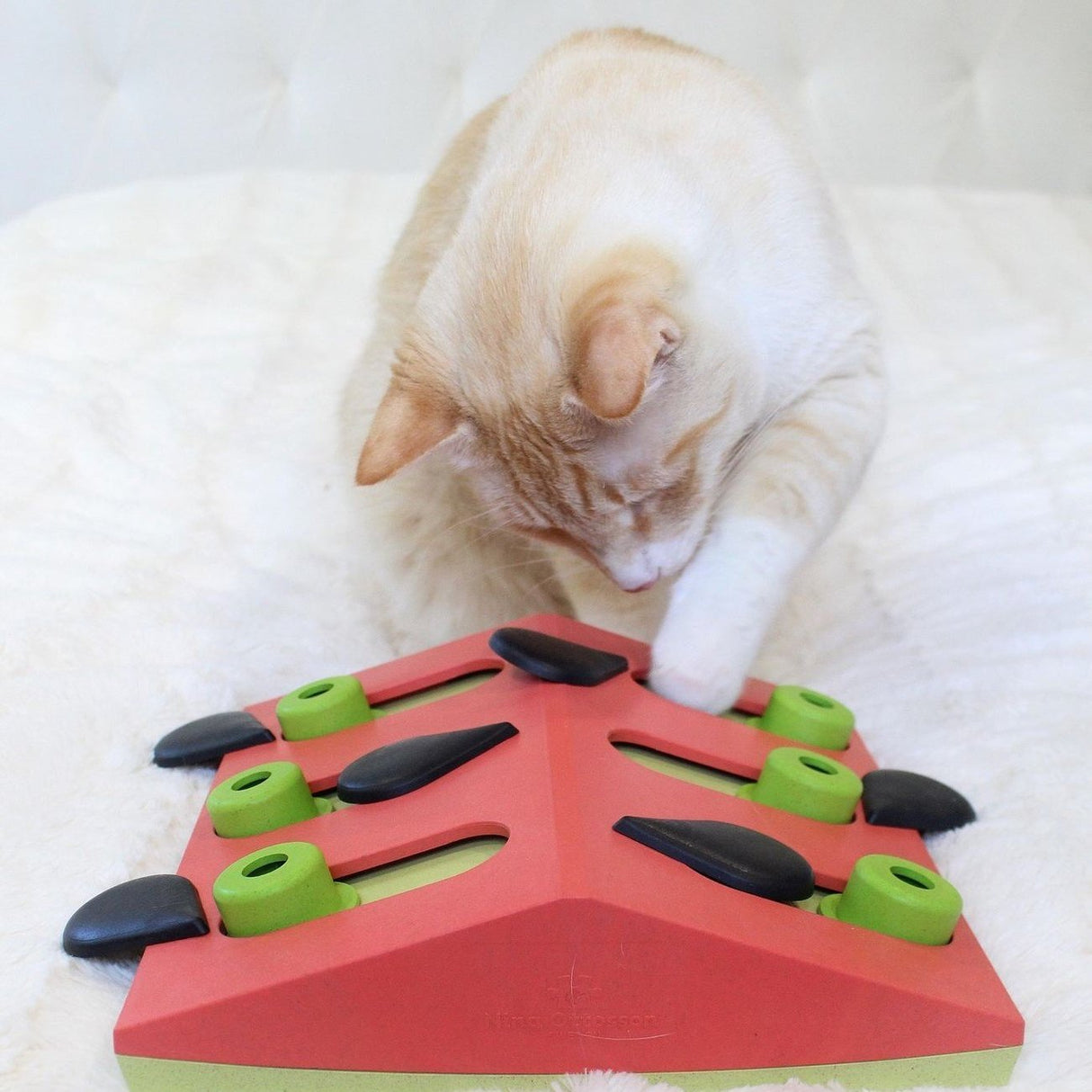 Katzen Puzzle Melon Madness