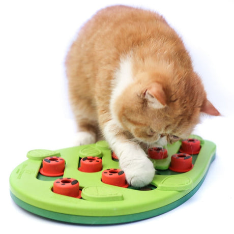 Katzen Snackspielzeug Blatt