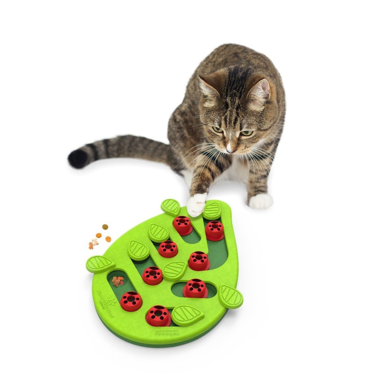 Katzen Snackspielzeug Blatt