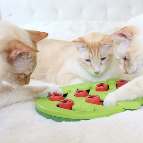 Katzen Snackspielzeug Blatt