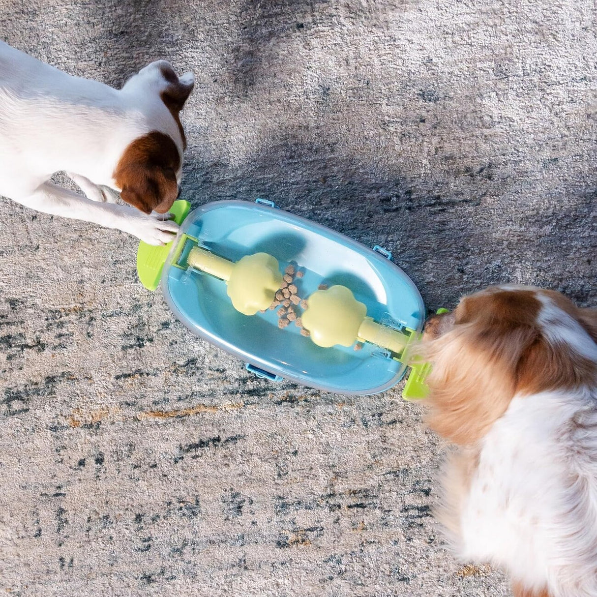 Nina Ottosson Paw N`Play