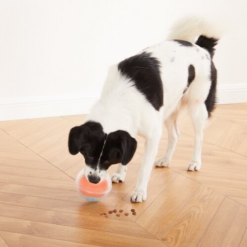 Rumble Puzzle Hundespielzeug