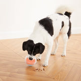Rumble Puzzle Hundespielzeug