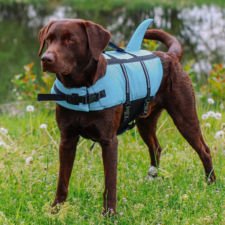 Hunde Schwimmweste Sharki mit Haifischflossen