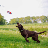 Hundespielzeug Rettungsring mit Seil Floating
