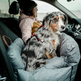 Autobett, Reisebett Bena für Hunde