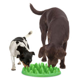 Northmate Green Anti Schling Hundenapf