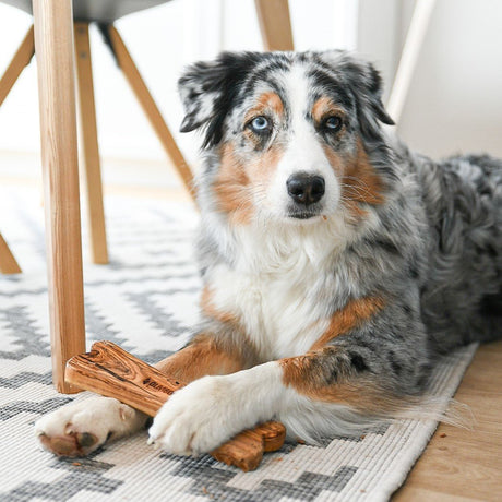 Natürlicher Kauknochen