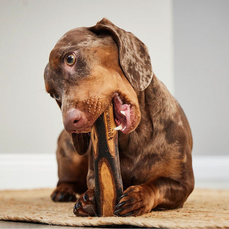 Stick-Kauspielzeug für Hunde